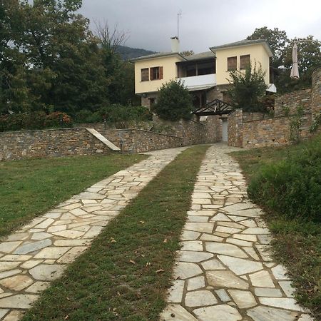 Luxury Villa With Pool In Tsagkarada Exterior foto