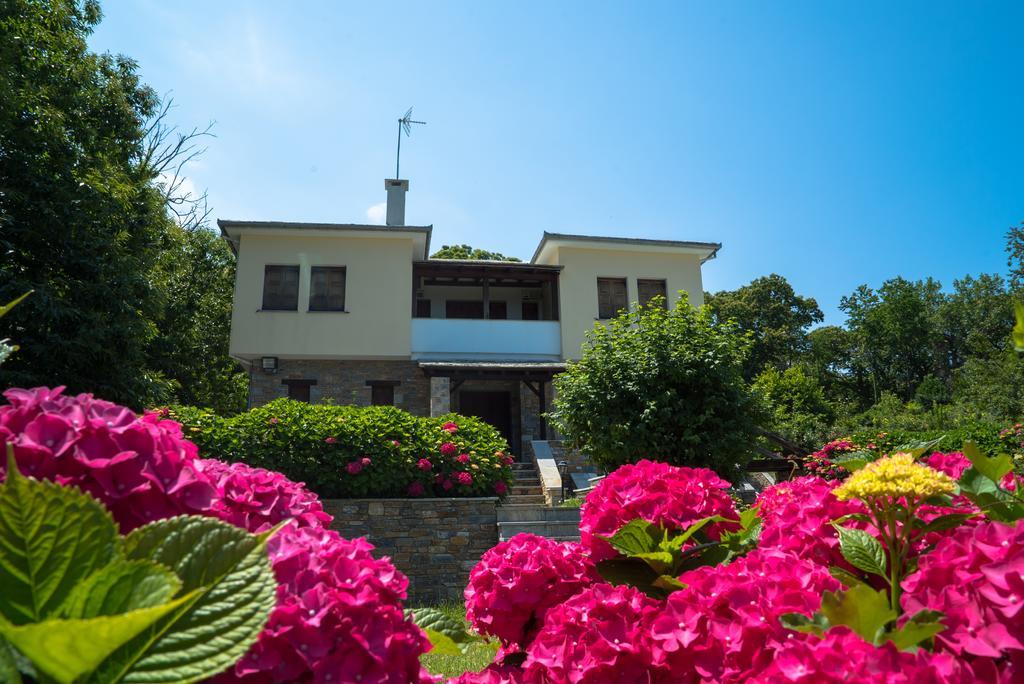 Luxury Villa With Pool In Tsagkarada Exterior foto